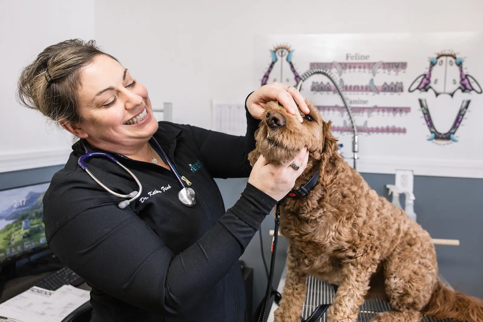 Dr. Fink examines a dog's teeth at Beltsville Veterinary Hospital.